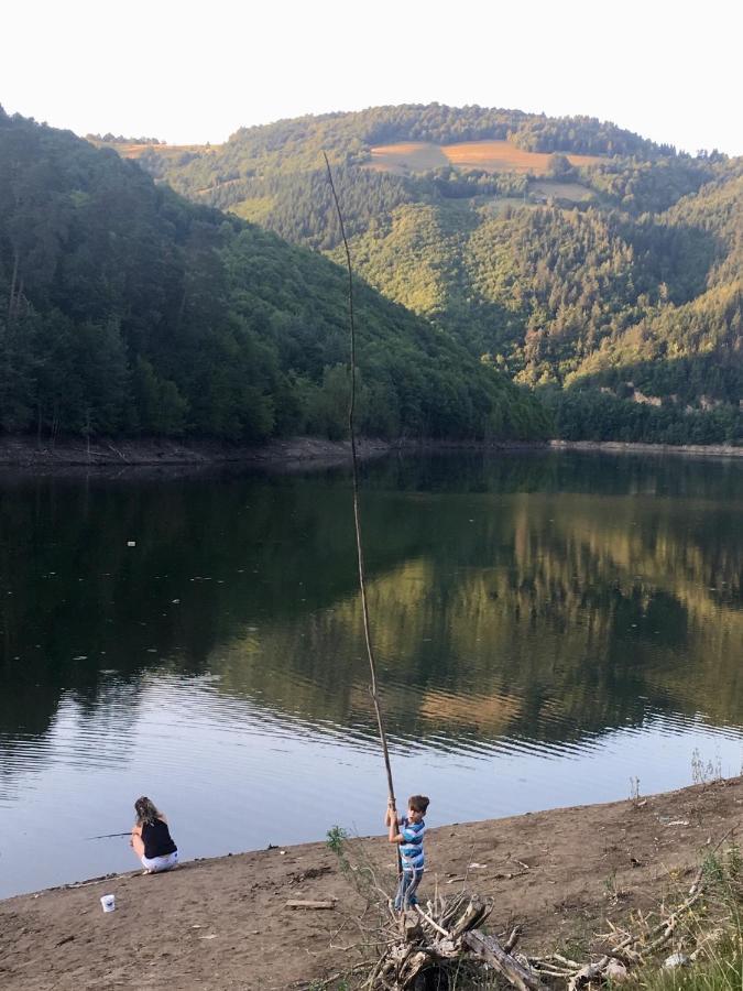 Cabana Baraj Apuseni Mountains Mihoesti Luaran gambar