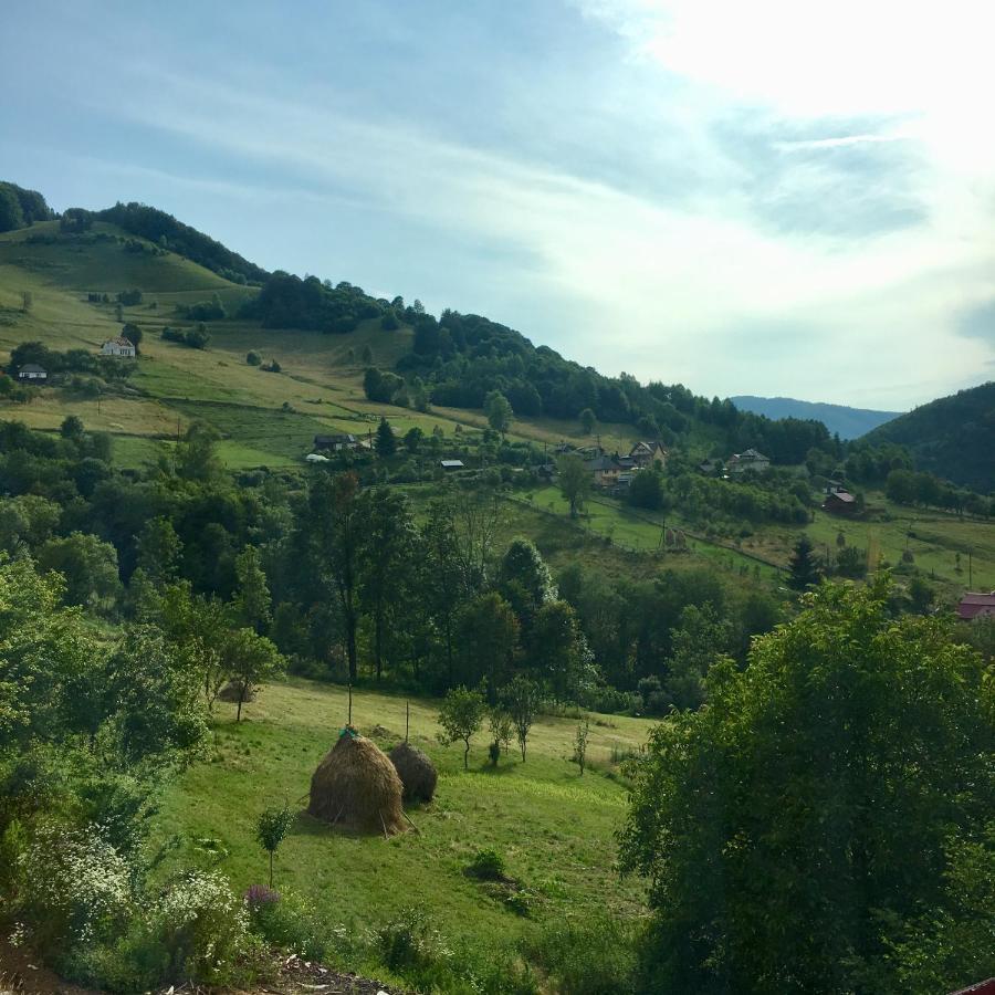 Cabana Baraj Apuseni Mountains Mihoesti Luaran gambar