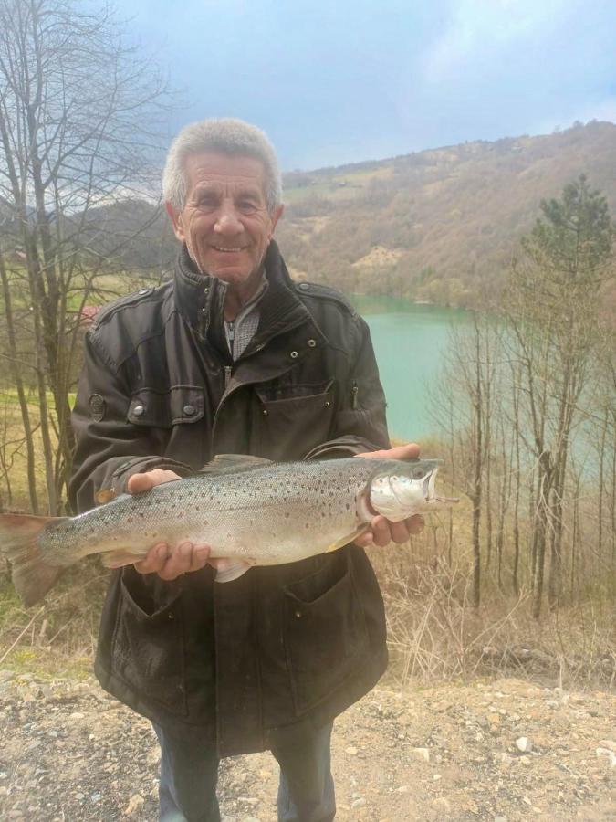 Cabana Baraj Apuseni Mountains Mihoesti Luaran gambar