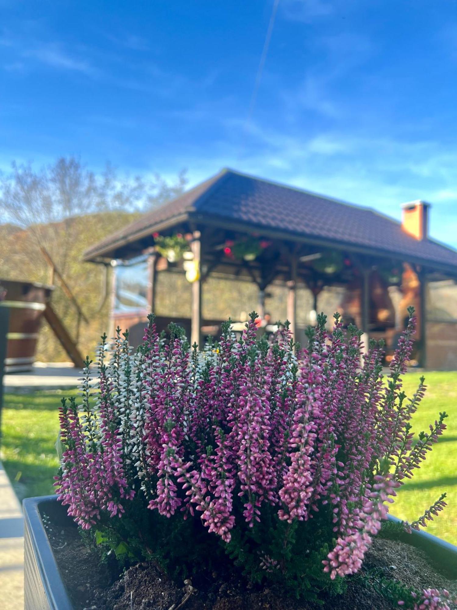 Cabana Baraj Apuseni Mountains Mihoesti Luaran gambar