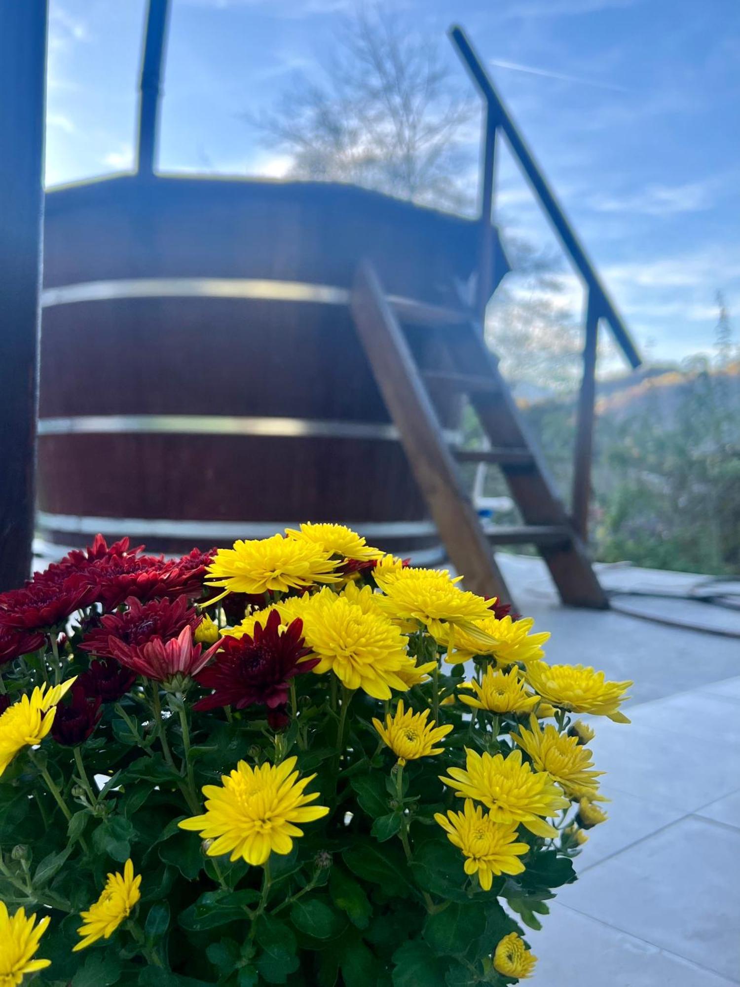 Cabana Baraj Apuseni Mountains Mihoesti Luaran gambar